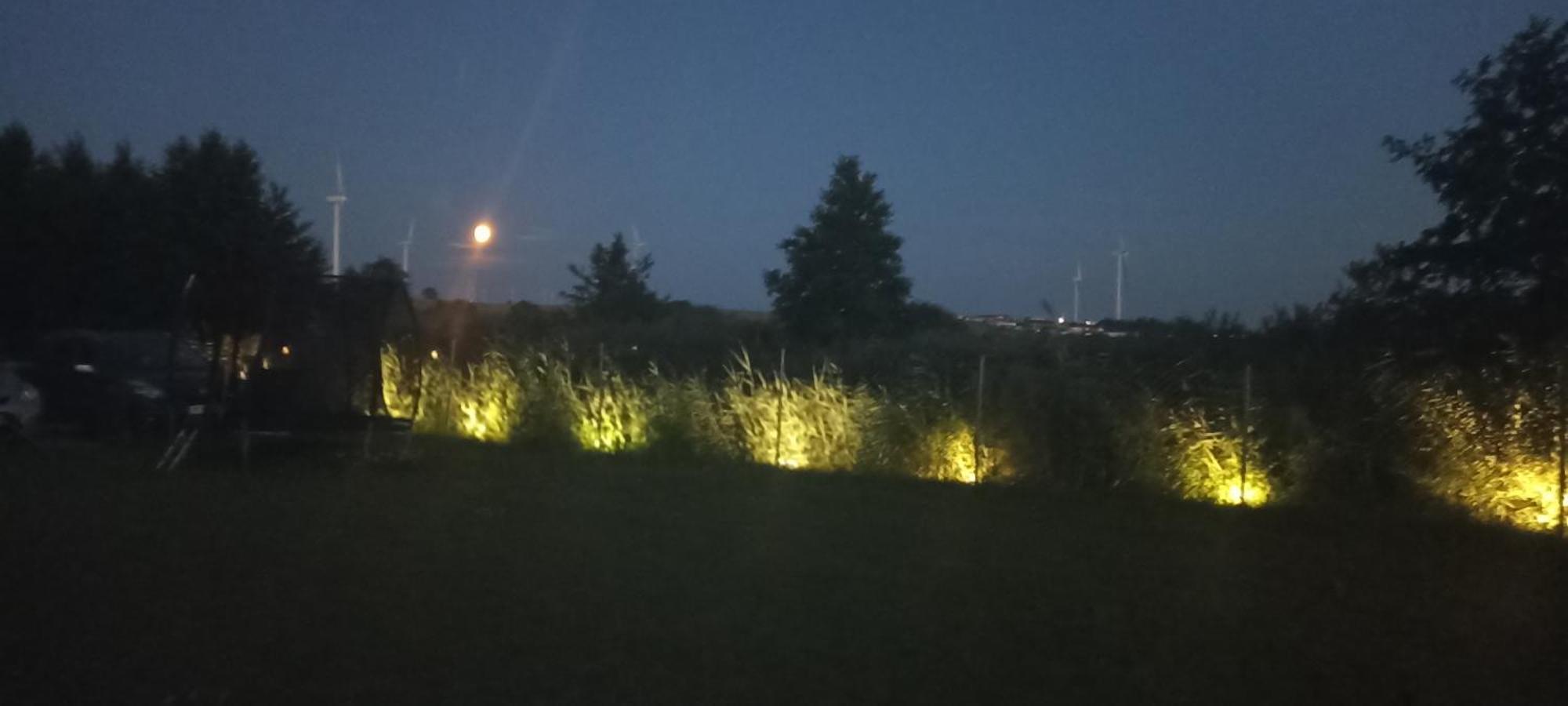 Domki Alfa Kopań Buitenkant foto