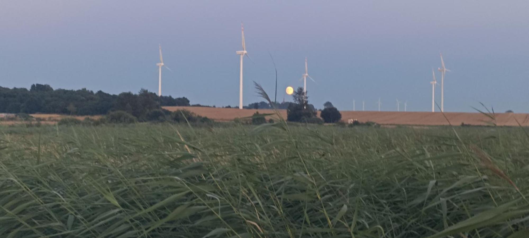 Domki Alfa Kopań Buitenkant foto